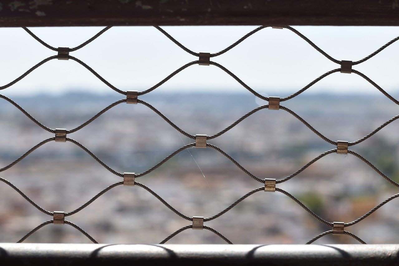 Mond梦都口香糖：蓝墨app详情下载教程