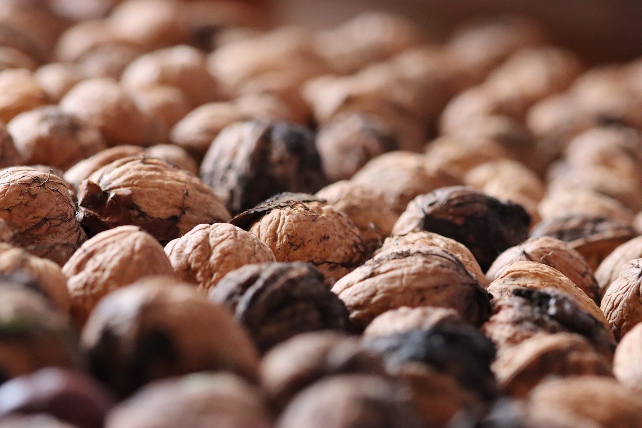 光明大陆辅助- 索尼电视机详情下载教程app